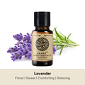 Essential Oils for Diffuser - 12 Kinds Of Fragrance