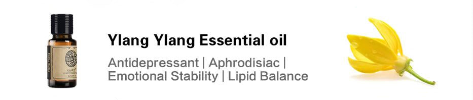 Essential Oils for Diffuser - 12 Kinds Of Fragrance